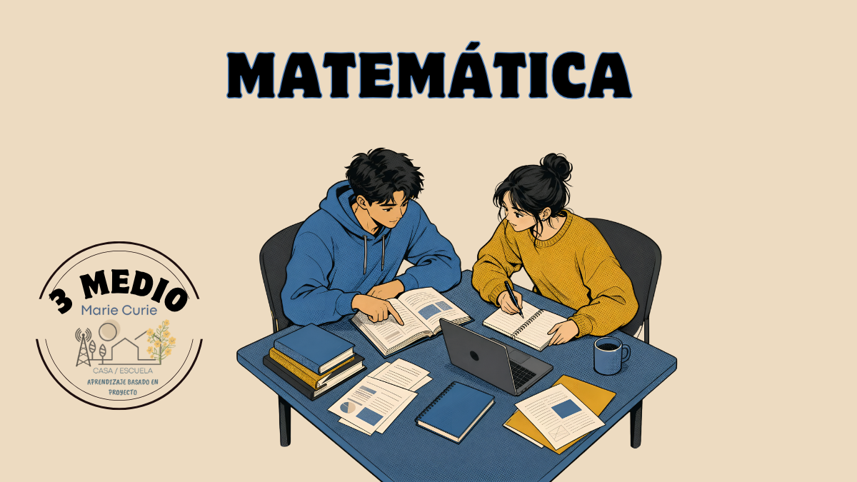 Ensayo 3 MEDIO (Matemática)