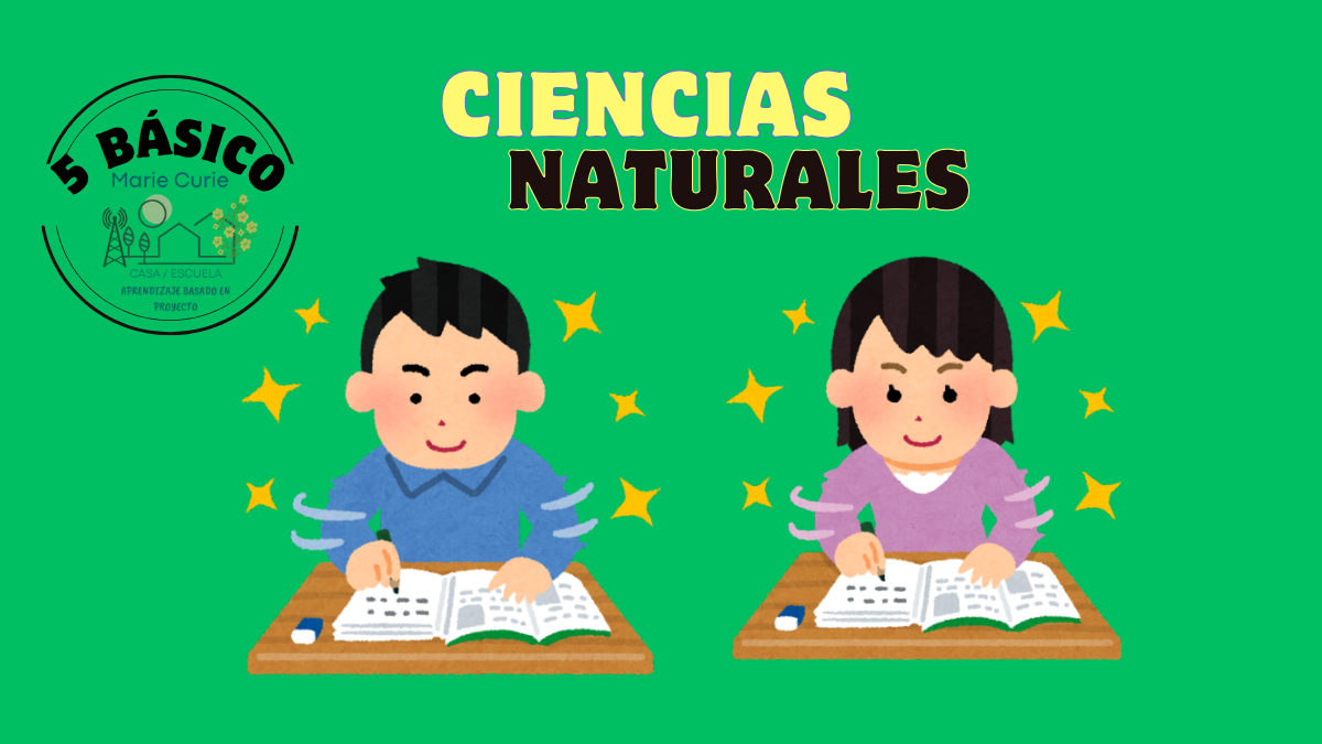 Ensayo 5° Básico (Ciencias Naturales)
