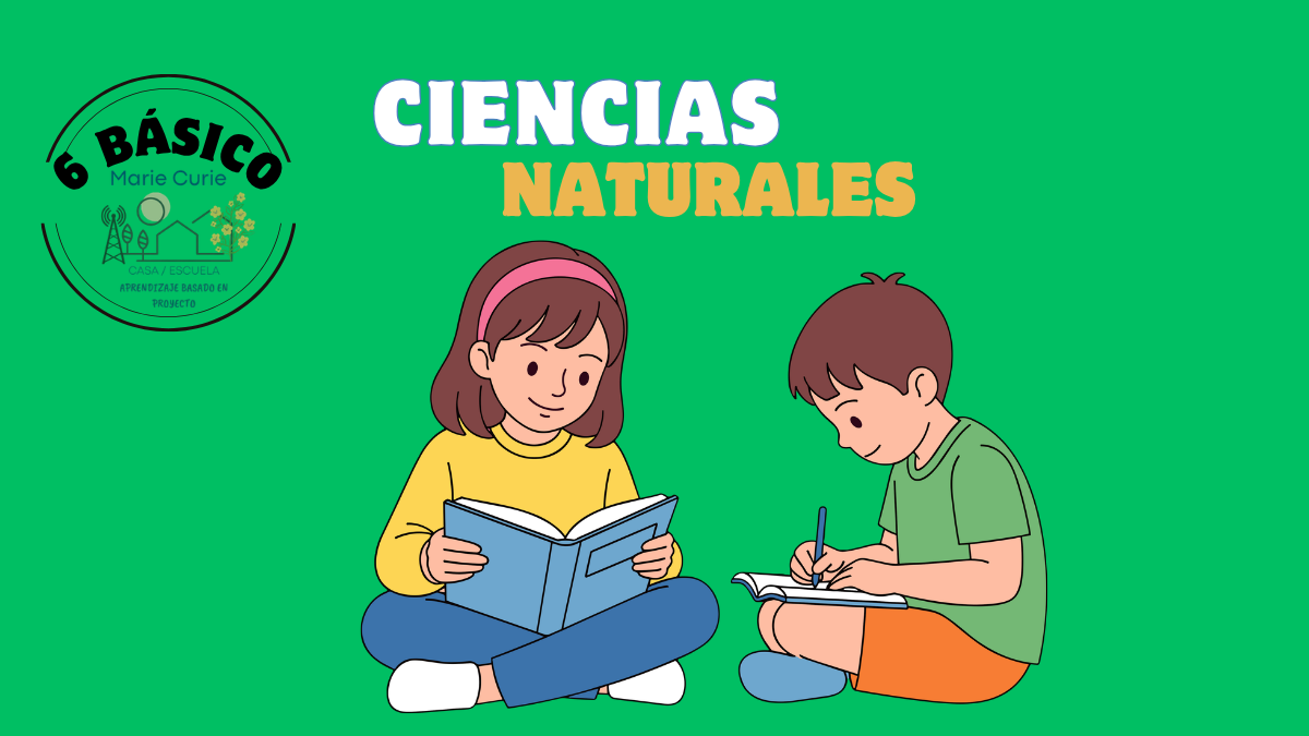 Ensayo 6° Básico (Ciencias Naturales)
