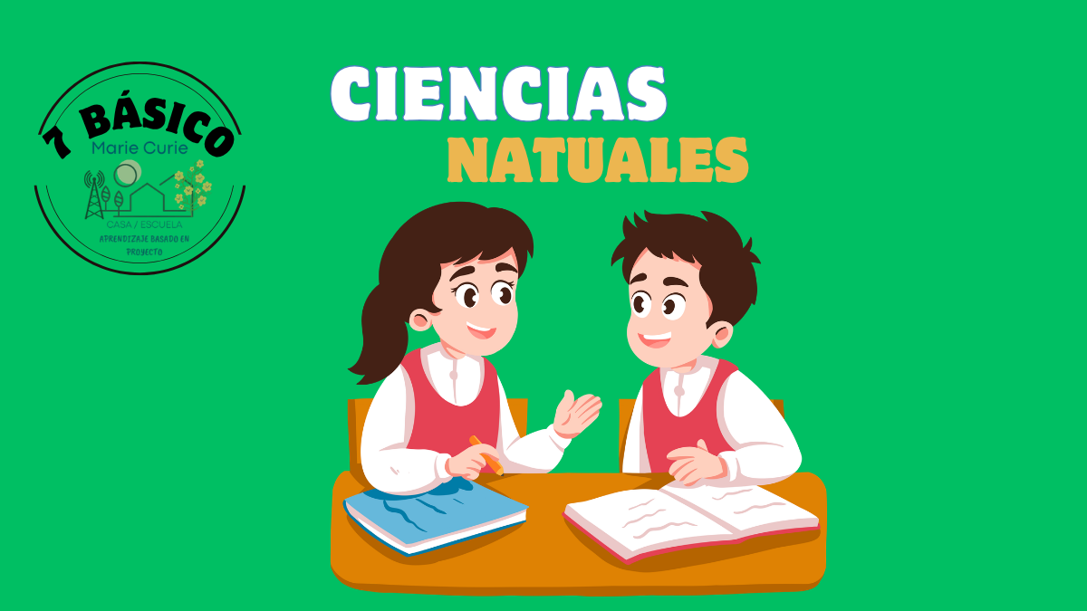 Ensayo 7° Básico (Ciencias Naturales)