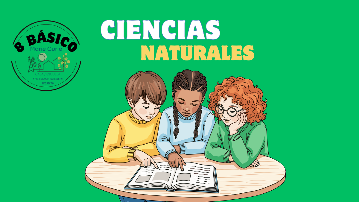 Ensayo 8° Básico (Ciencias)